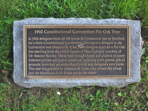 Constitution Convention Oak marker, Torrington